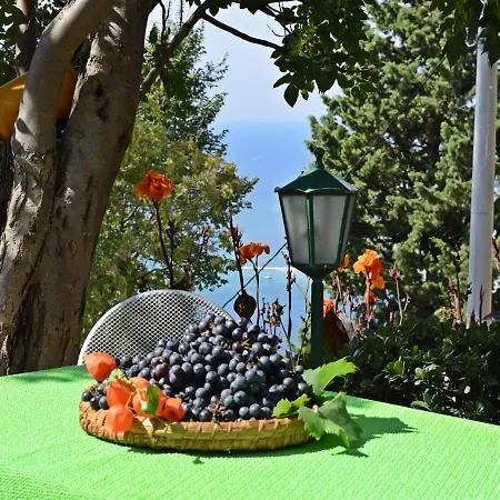 Ivana Borak Apartament Omiš